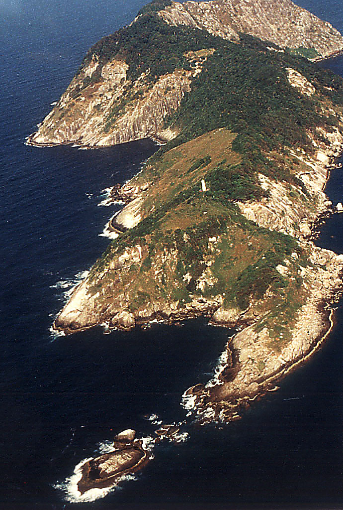 Ilha da Queimada Grande (Snake Island), Brazil